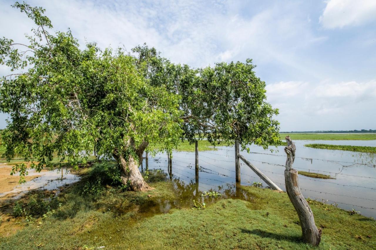 ホテル Chaarya Lake ティッサマハーラーマ エクステリア 写真